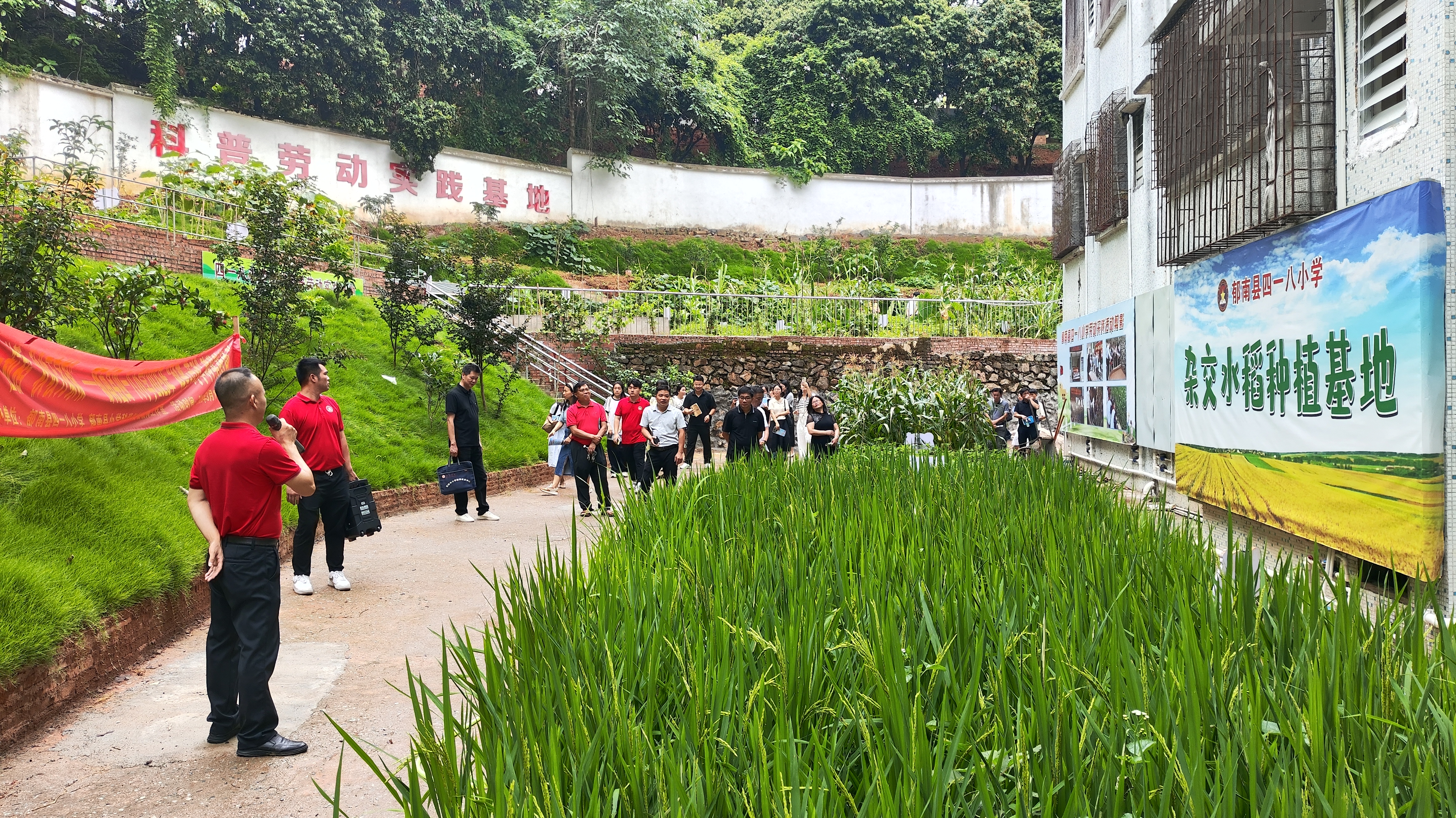 郁南縣小學“比學趕超”課堂常規(guī)現(xiàn)場會：以規(guī)為基共赴教育新程1.2.jpg